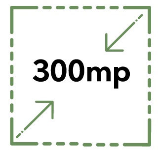 pachet primavara 300mp