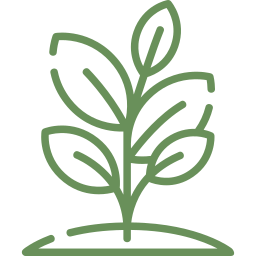 Selectie riguroasă de plante